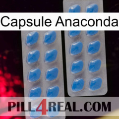 Anaconda Capsule 23